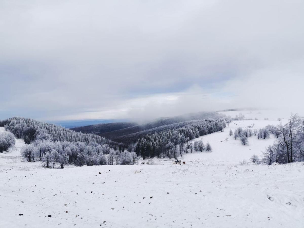 Franzdorf Alpin Hotel Valiug Luaran gambar